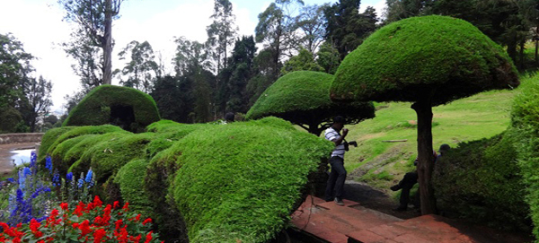 kodaikanal-park-tour