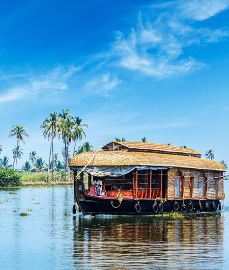 ALLEPPEY Tours