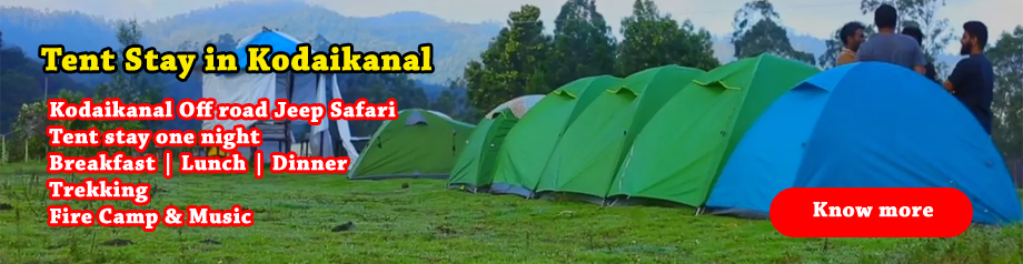 tent stay at kodaikanal
